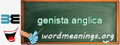 WordMeaning blackboard for genista anglica